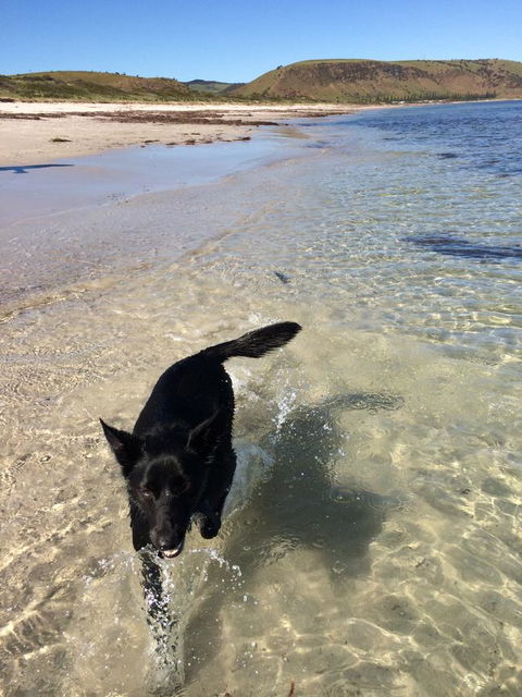 Beachside Holiday Park - Accommodation Cairns 17