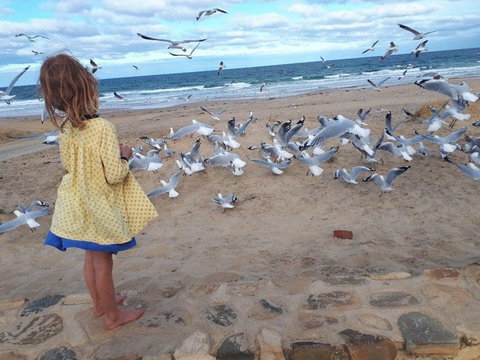 Moana Beach Tourist Park - Accommodation Cairns 9