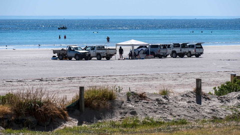 Wallaroo Holiday Park - Accommodation Cairns 9