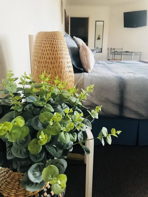 Barossa Valley Studio - Accommodation Cairns 12