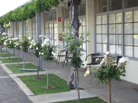 Guichen Bay Motel - Accommodation Cairns 38