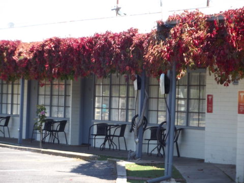 Guichen Bay Motel - Accommodation Cairns 23