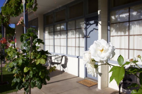 Guichen Bay Motel - Accommodation Cairns 33