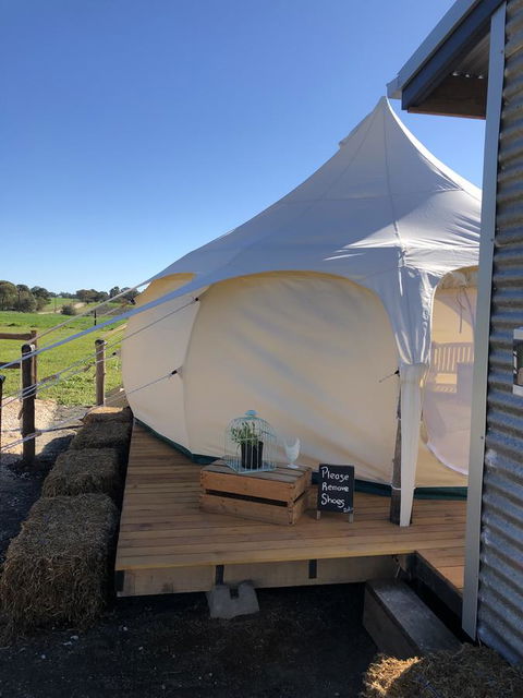 Bukirk Glamping & Fancy Coops - Accommodation Cairns 11
