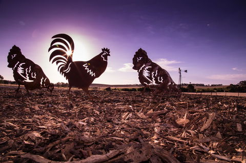 Bukirk Glamping & Fancy Coops - Accommodation Cairns 34