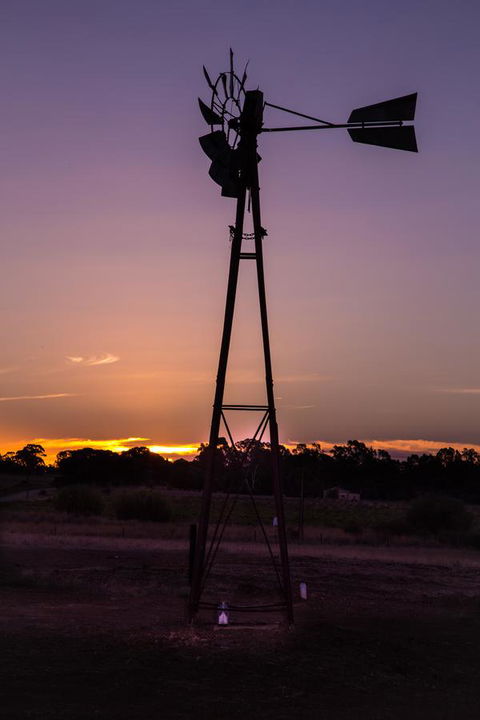 Bukirk Glamping & Fancy Coops - Accommodation Cairns 31