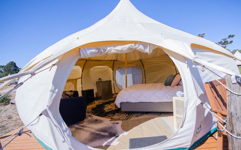 Bukirk Glamping & Fancy Coops - Accommodation Cairns 7