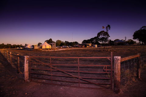 Bukirk Glamping & Fancy Coops - Accommodation Cairns 33