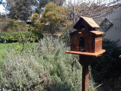 Jack\'s House B&B Clare - Accommodation Cairns 6