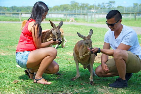 One Mile Retreat - Accommodation Cairns 25