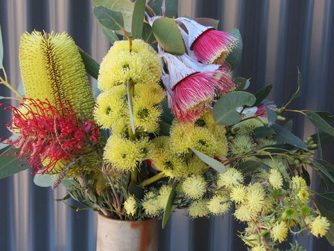 Windmill Cottage - Accommodation Cairns 15