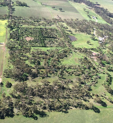 Windmill Cottage - Accommodation Cairns 10