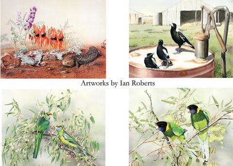 Windmill Cottage - Accommodation Cairns 14