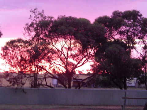 Wudinna Gawler Ranges Motel And Caravan Park - Accommodation Cairns 11