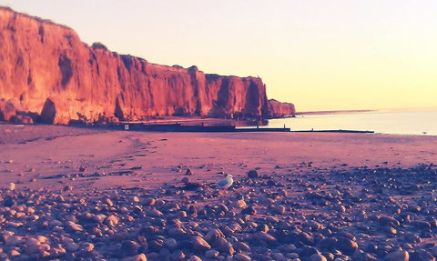 Ardrossan Caravan Park - Accommodation Cairns 31