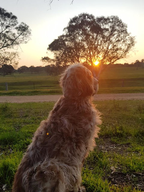 Pennys Road - Accommodation Cairns 7