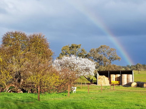 Pennys Road - Accommodation Cairns 18