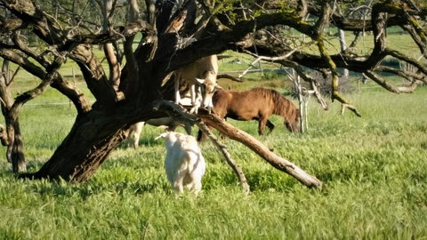 Pennys Road - Accommodation Cairns 8