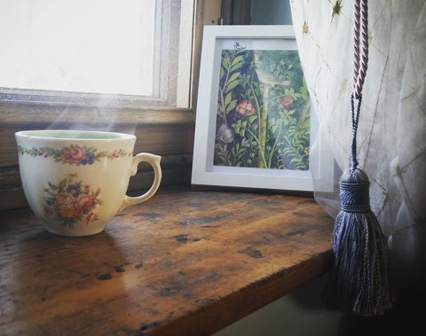 Pennys Road - Accommodation Cairns 3