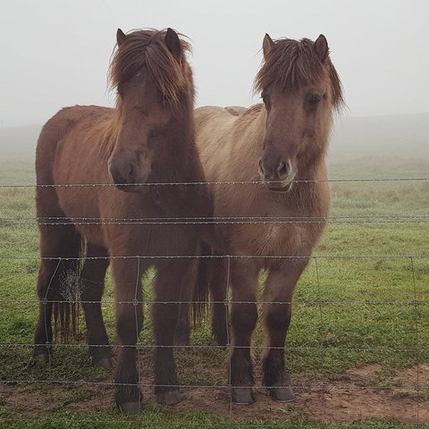 Pennys Road - Accommodation Cairns 9