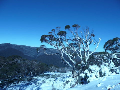 CHILL-OUT - Thredbo - Accommodation Cairns 33