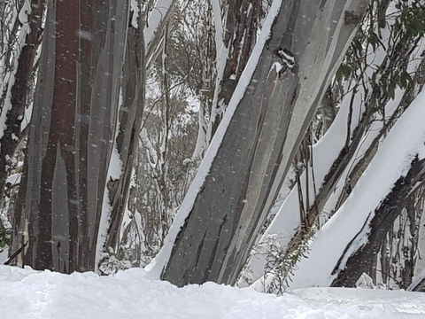 CHILL-OUT - Thredbo - Accommodation Cairns 30