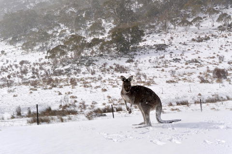 CHILL-OUT - Thredbo - Accommodation Cairns 27