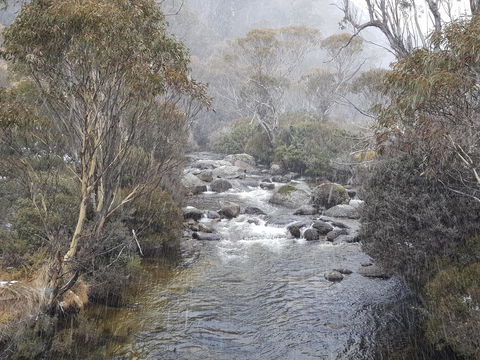 CHILL-OUT - Thredbo - Accommodation Cairns 23