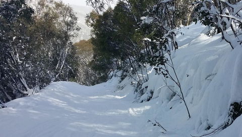 CHILL-OUT - Thredbo - Accommodation Cairns 17