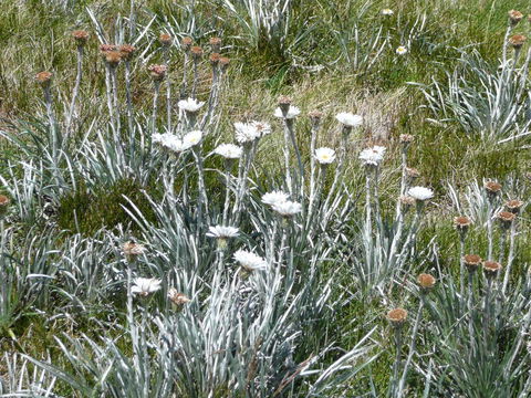 CHILL-OUT - Thredbo - Accommodation Cairns 36