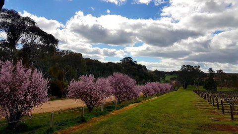 D2 At Watervale - Accommodation Cairns 22