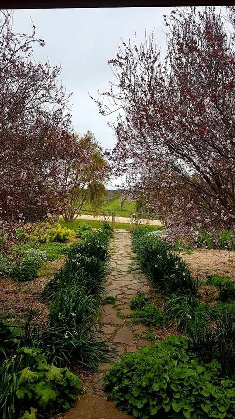 D2 At Watervale - Accommodation Cairns 4