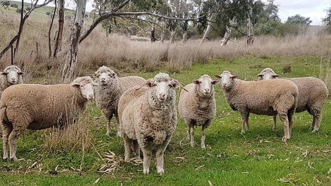 D2 At Watervale - Accommodation Cairns 24
