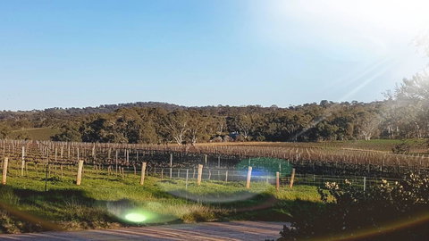 D2 At Watervale - Accommodation Cairns 23