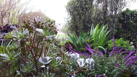 Linger Longer Vineyard - Accommodation Cairns 15