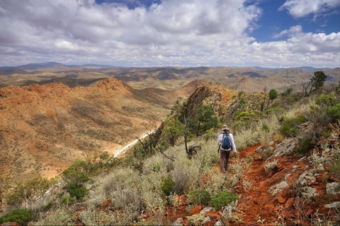 Arkaroola Wilderness Sanctuary - Accommodation Cairns 4