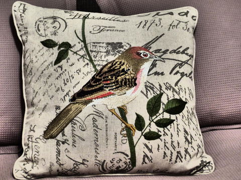 Andy\'s Accommodation - Accommodation Cairns 9