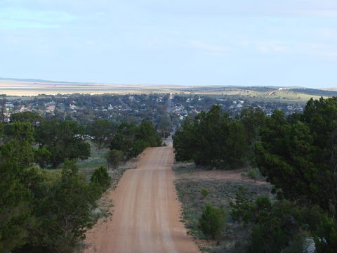 Andy\'s Accommodation - Accommodation Cairns 16