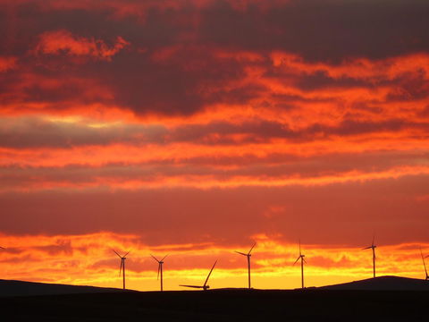 Andy\'s Accommodation - Accommodation Cairns 11