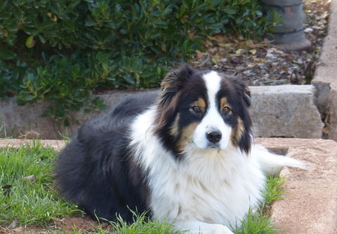 Andy\'s Accommodation - Accommodation Cairns 17