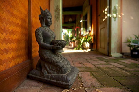The Lotus Eater - Accommodation Cairns 7