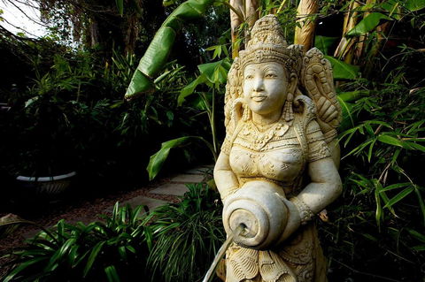 The Lotus Eater - Accommodation Cairns 18