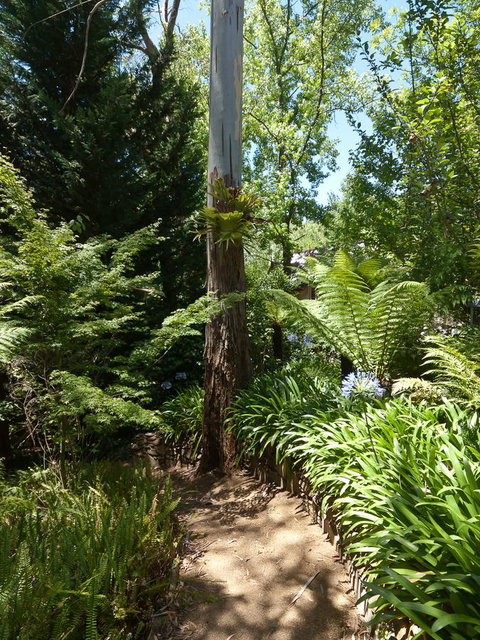 Aldgate Creek Cottage Bed And Breakfast - Accommodation Cairns 27