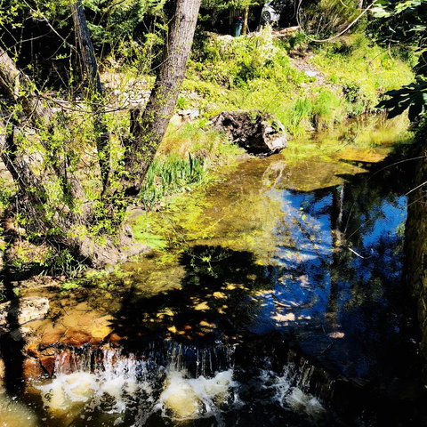 Aldgate Creek Cottage Bed And Breakfast - Accommodation Cairns 22