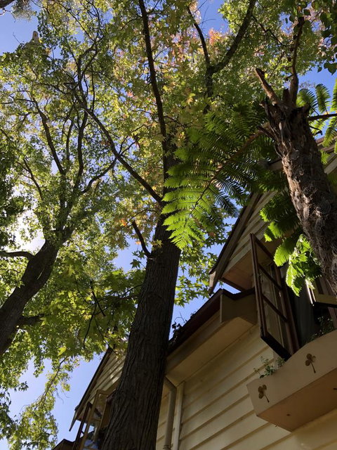 Aldgate Creek Cottage Bed And Breakfast - Accommodation Cairns 8