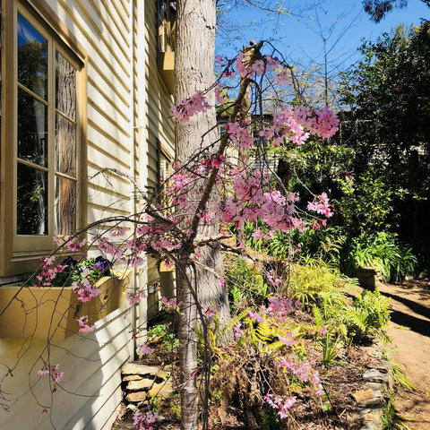 Aldgate Creek Cottage Bed And Breakfast - Accommodation Cairns 19