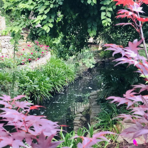 Aldgate Creek Cottage Bed And Breakfast - Accommodation Cairns 21