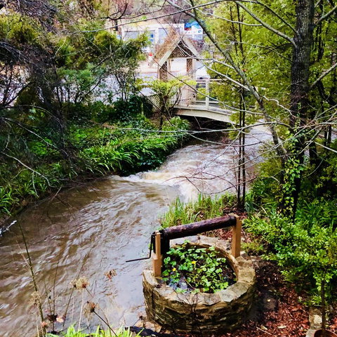 Aldgate Creek Cottage Bed And Breakfast - Accommodation Cairns 23