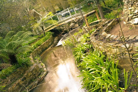 Aldgate Creek Cottage Bed And Breakfast - Accommodation Cairns 17