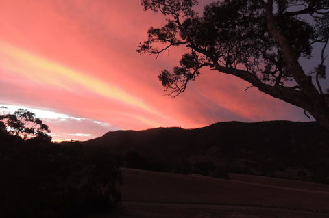 Wozza's B&B - Accommodation Cairns 5